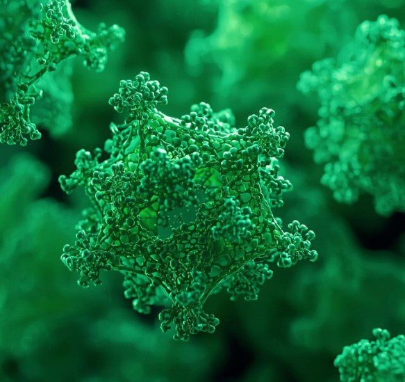 High-resolution microscopic image of green electrospun collagen-pullulan nanofiber network showing intricate three-dimensional protein structure and interconnected fiber morphology